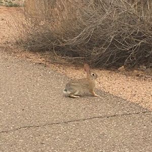 Meet your Posher, Hailey